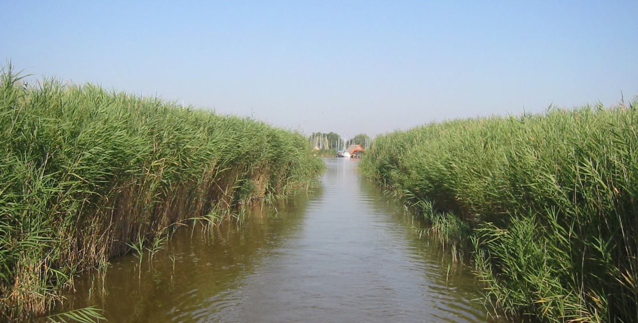 Озеро Neusiedlersee