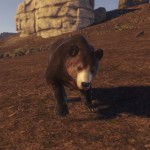 Медведь (Bear)
