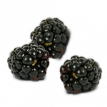 Ежевика (Black Raspberries)