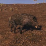 Кабан (Boar)