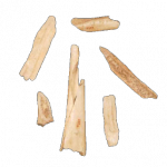 Фрагменты костей (Bone Fragments)