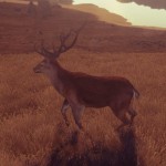 Олень (Deer)