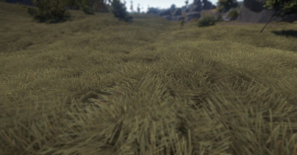 grass1