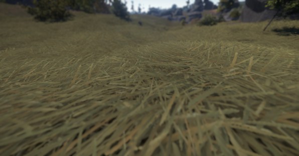 grass2